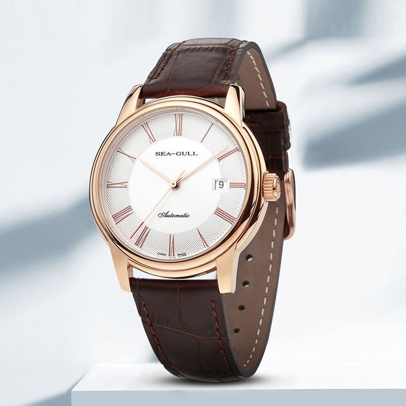 Seagull-reloj mecánico minimal - Omega Watch Constellation reseña y precio